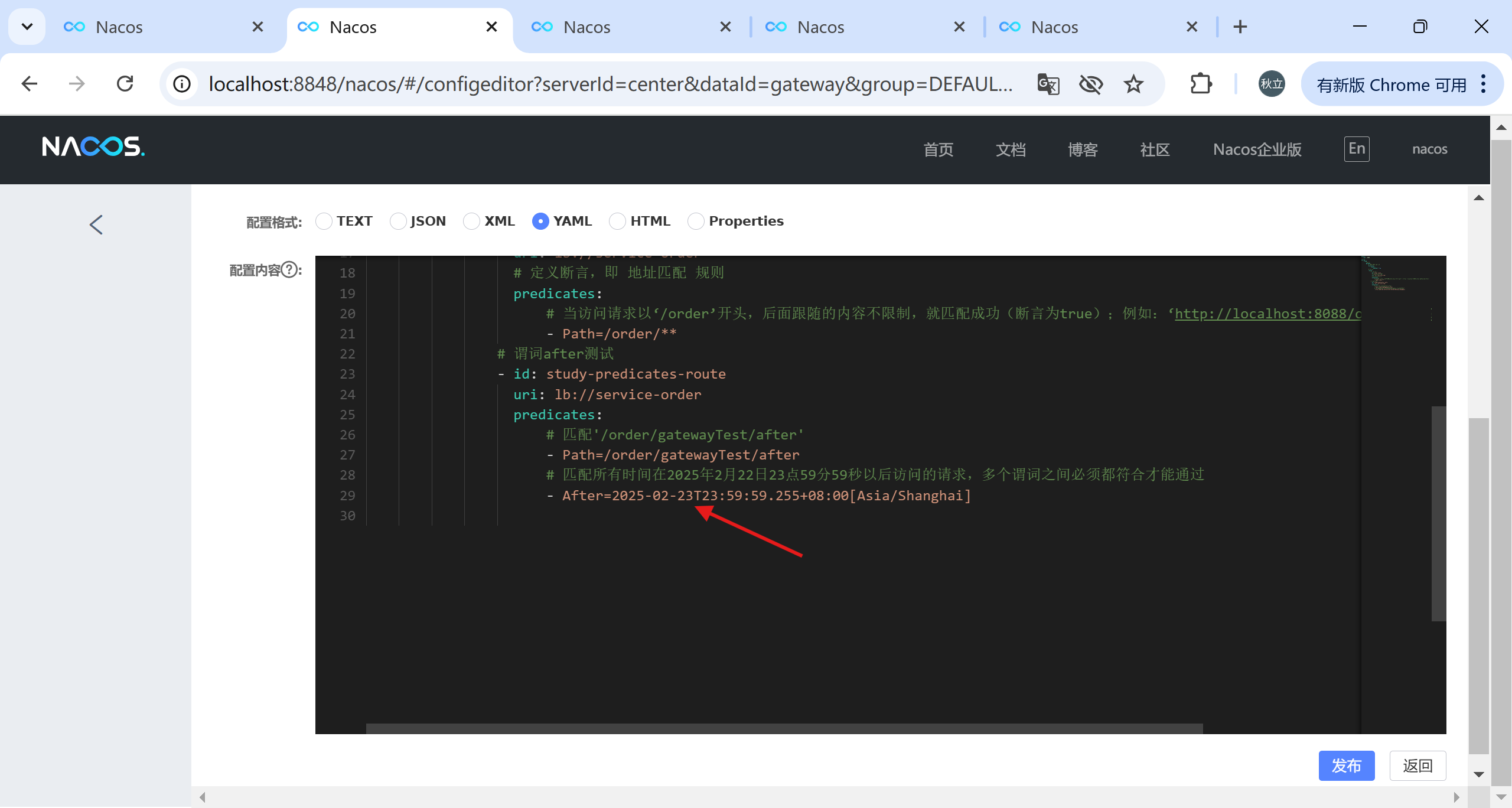 image-20250223174351925